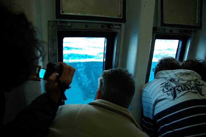 Spirit of Hervey Bay Whale Watching Cruise - Price and Value: Is $111 Worth It?