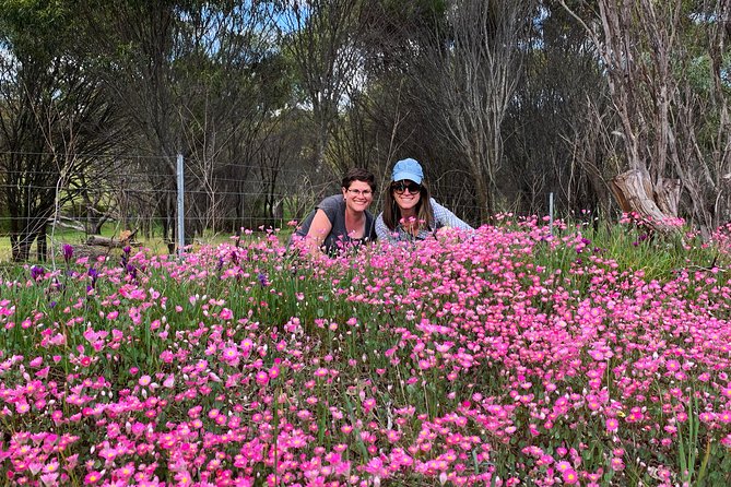 Spring Wildflower Private Day Tours - Spring in Perth: Why this day hits different
