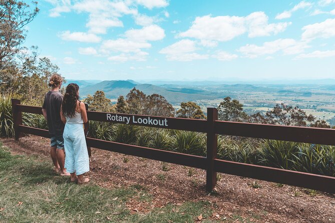 Springbrook andTamborine Rainforest Tour Incl Natural Bridge and Glow Worm Cave - Tamborine Break: Gallery Walk and a Quick Lookout Stop