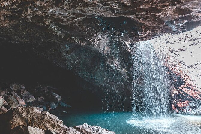 Springbrook andTamborine Rainforest Tour Incl Natural Bridge and Glow Worm Cave - Natural Bridge and Springbrook Rainforest: Water Meets Stone