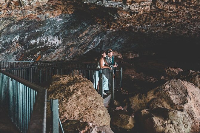 Springbrook andTamborine Rainforest Tour Incl Natural Bridge and Glow Worm Cave - Logistics That Affect Your Comfort (More Than You Think)