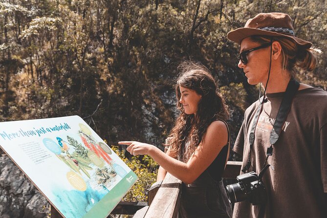 Springbrook andTamborine Rainforest Tour Incl Natural Bridge and Glow Worm Cave - Value for Money: What You’re Paying For at $135.56