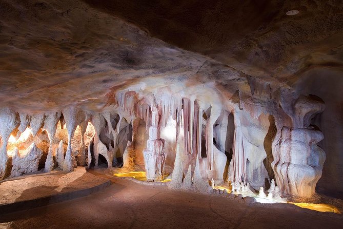 Springbrook andTamborine Rainforest Tour Incl Natural Bridge and Glow Worm Cave - The Curtis Falls Morning: Waterfalls and That Subtropical Feeling