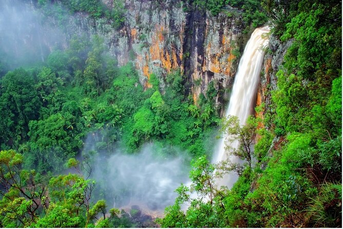Springbrook Waterfalls & Natural Bridge Tour from Gold Coast - Quick hits: What you’ll notice right away