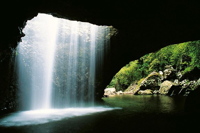 Springbrook Waterfalls & Natural Bridge Tour from Gold Coast - Why Springbrook feels like a reset from Surfers Paradise
