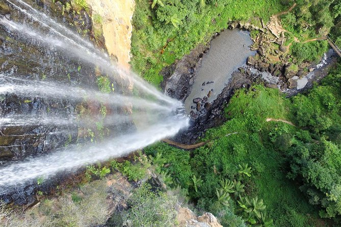 Springbrook Waterfalls & Natural Bridge Tour from Gold Coast - What guides do that you’ll feel during the day