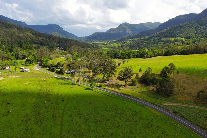 Springbrook Waterfalls & Natural Bridge Tour from Gold Coast - Weather reality: fog can change the entire experience