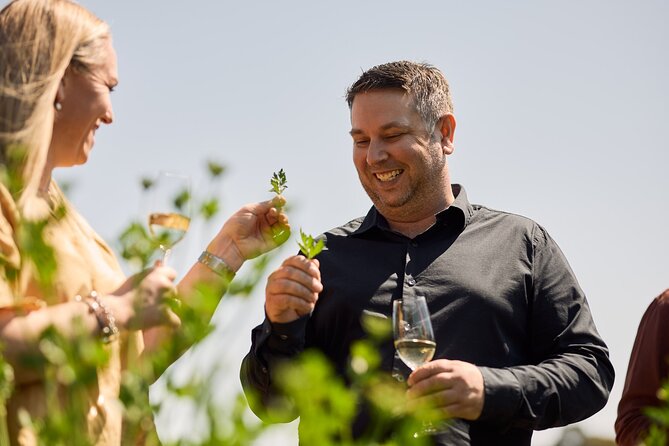 St Hugo Garden to Table Experience & Lunch - The 8-course degustation lunch: pace, views, and what you’ll notice
