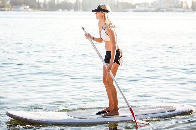 Stand Up Paddle Board Hire - 2 Hours - Manly North Harbour SUP: why this 2-hour window works