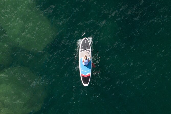 Stand Up Paddle Board Hire - 2 Hours - Meeting at Manly Kayak Centre: right by the action