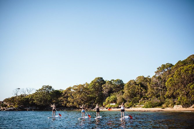 Stand Up Paddle Board Hire - 2 Hours - Choosing your route: moored yachts, more distance, and Quarantine Bay
