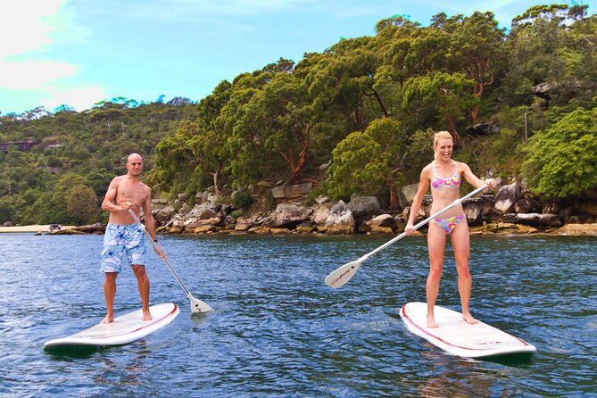 Stand Up Paddle Board Hire - 2 Hours - Weather reality: this is Sydney, and wind is the boss