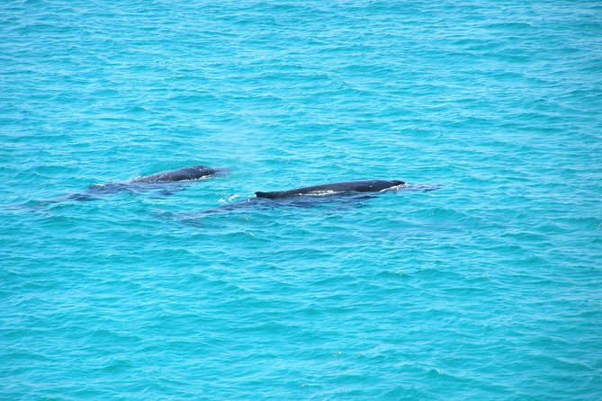 Stradbroke Island 4WD Day Trip from Brisbane - Key things to know before you go