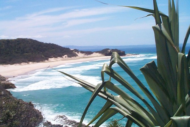 Stradbroke Island 4WD Day Trip from Brisbane - Viewpoints, Lakes, and That Peaceful Island Rhythm