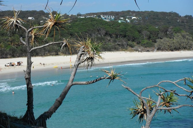 Stradbroke Island 4WD Day Trip from Brisbane - Brown Lake and Flinders Beach: Swim Time That Feels Like a Reward