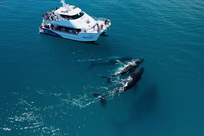 SUMMER K'gari (Fraser Island) Boom-net & Sightseeing Cruise - How the onboard commentary makes the trip feel worthwhile