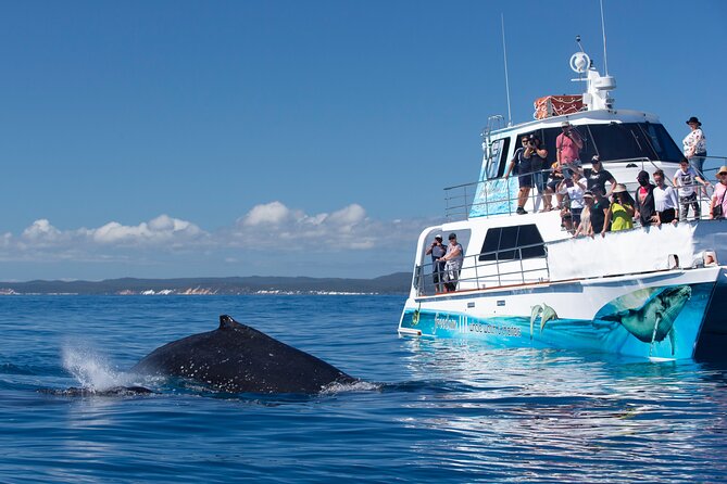SUMMER K'gari (Fraser Island) Boom-net & Sightseeing Cruise - Drinks, comfort, and the Boat Club start