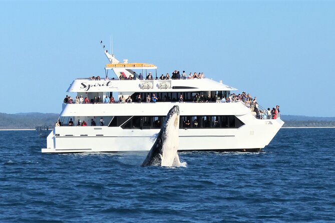 SUMMER K'gari (Fraser Island) Boom-net & Sightseeing Cruise - Who this cruise suits best (and who should think twice)