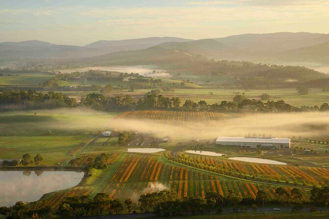 Sunrise Hot Air Balloon Flight over Yarra Valley + Breakfast - Price and value for a Yarra Valley balloon sunrise