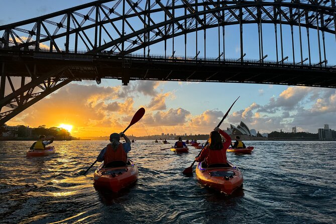 Sunrise Paddle Session on Syndey Harbour (single kayak) - Key things that make this sunrise paddle worth it