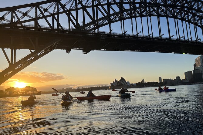 Sunrise Paddle Session on Syndey Harbour (single kayak) - Launching at Milson Park and earning breakfast afterward