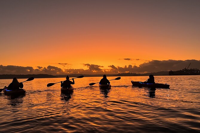 Sunrise Paddle Session on Syndey Harbour (single kayak) - Neutral Bay and Luna Park: where the harbor looks playful