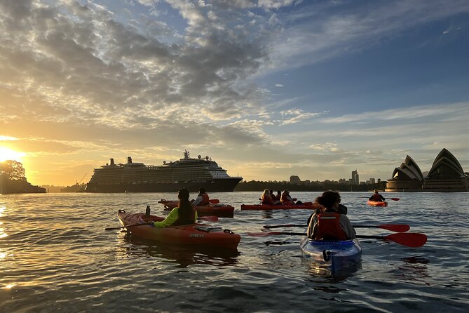 Sunrise Paddle Session on Syndey Harbour (single kayak) - Safety, staff, and why this works for different fitness levels