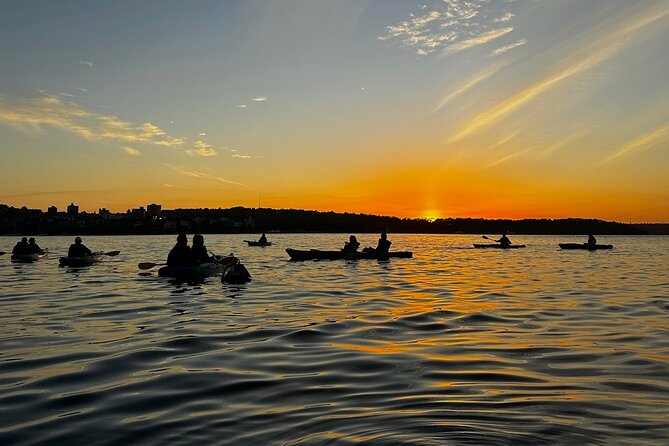 Sunrise Serenity Kayak Tour of Sydney Harbour - Price check: is $121.21 worth it?