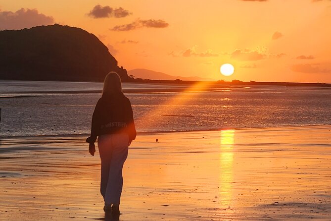 Sunrise with the kangaroos and wallabies - Stop 2 at Cape Hillsborough: breakfast in the bush after the spectacle