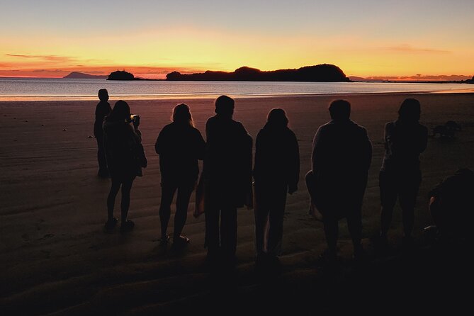 Sunrise with the kangaroos and wallabies - The lookout moment: bay and islands views that feel earned