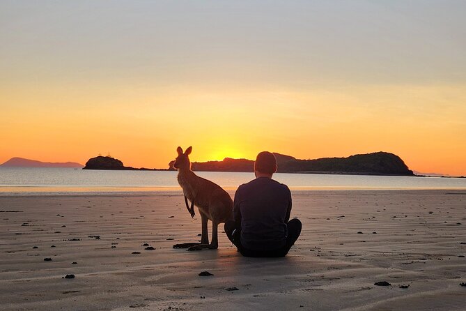 Sunrise with the kangaroos and wallabies - Timing, weather, and wildlife reality: the honest trade-offs
