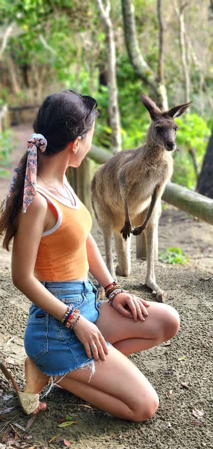 Sunrise with the Kangaroos & Wallabies - Airlie Beach - Key Highlights You’ll Actually Care About