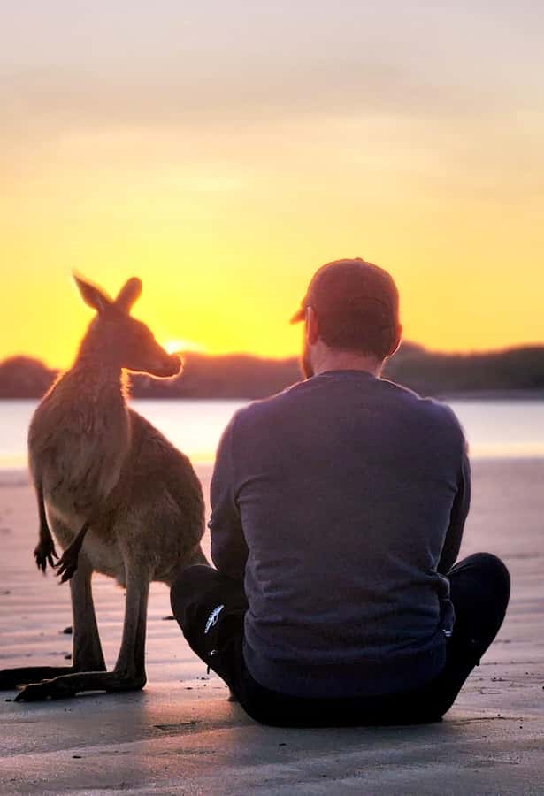 Sunrise with the Kangaroos & Wallabies - Airlie Beach - Small-Group Value: What You’re Really Paying $109 For