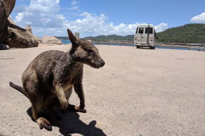 Sunset Cruise on Magnetic Island - Leaving Horseshoe Bay: the slow sightseeing run you’ll actually enjoy