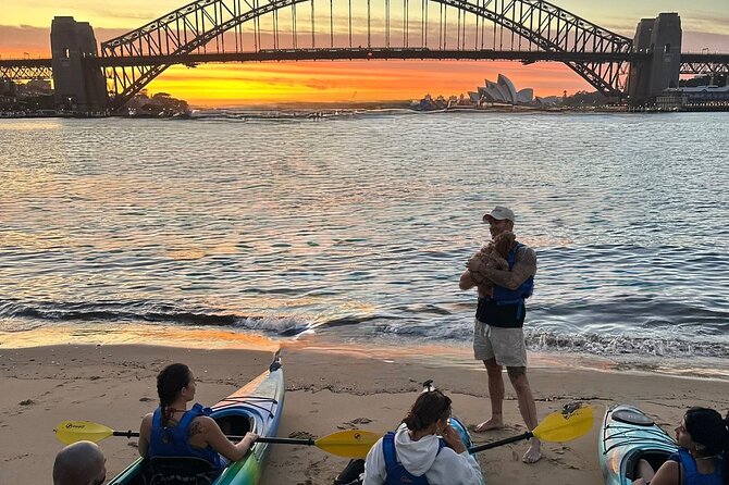 Sunset Harbour Bridge Kayak Escape - How the Guides Keep It Safe, Comfortable, and Photo-Friendly