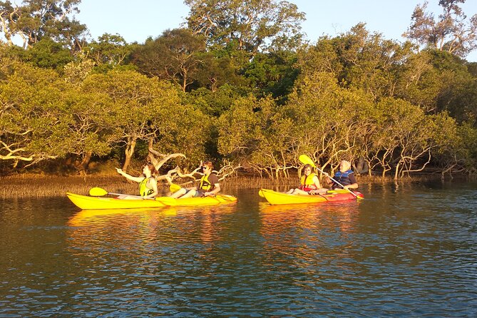 Sunset Kayak Eco Tour with Marine Scientist - Yabbying, snack breaks, and hands-on fun the kids actually enjoy