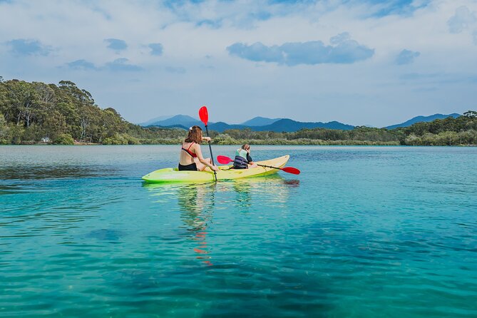 Sunset Kayak Eco Tour with Marine Scientist - Weather, water conditions, and what to expect when the day is tricky