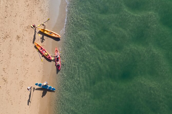 Sunset Kayak Eco Tour with Marine Scientist - Who should book this sunset science kayak tour (and who might not)