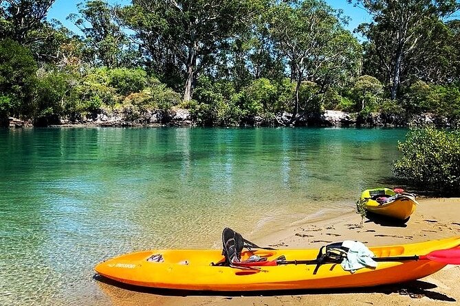 Sunset Kayak Eco Tour with Marine Scientist - Wildlife spotting with a marine scientist: stingrays, crabs, and birds