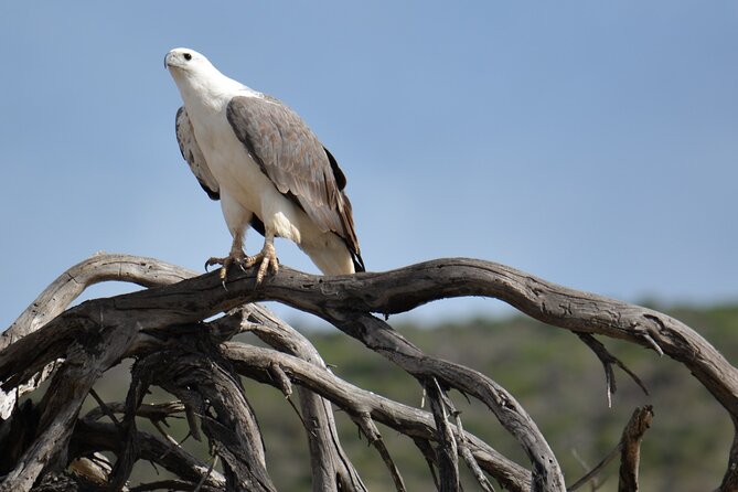 Sunset River Cruise in Kalbarri - Sunset views and photo strategy without the stress