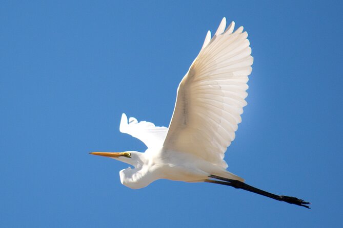 Sunset River Cruise in Kalbarri - Price and value: is $50.21 per person a fair deal?