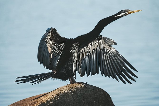 Sunset River Cruise near Byron Bay - Who should book this cruise (and who might want a different plan)