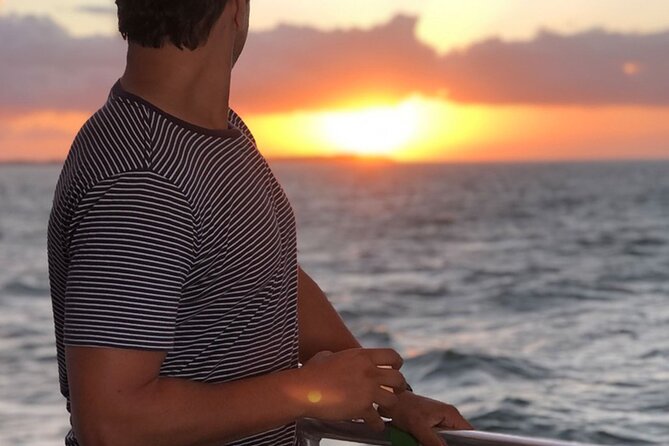 Sunset Twilight Cruise in Hervey Bay - Onboard Commentary: The Difference Between Watching and Understanding