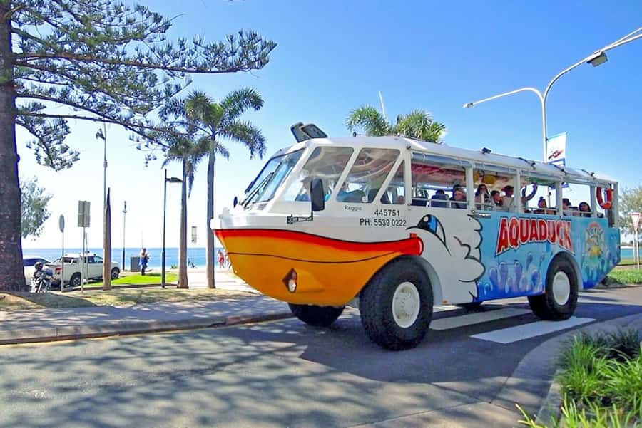 Sunshine Coast: 1-Hour Land and Water Tour - Key Highlights You’ll Feel Immediately