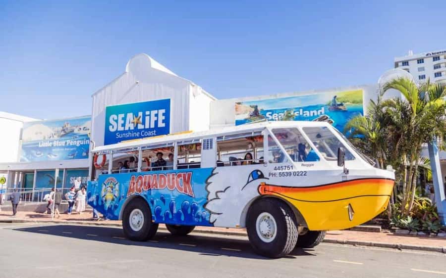 Sunshine Coast: 1-Hour Land and Water Tour - Why the Aquaduck Works for a Tight One-Hour Schedule