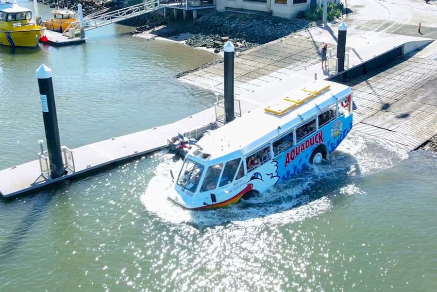 Sunshine Coast: 1-Hour Land and Water Tour - Kid-Friendly Extras: Captain’s Certificate and On-Water Driving