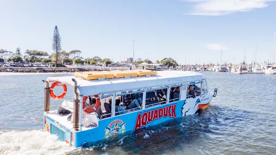 Sunshine Coast: 1-Hour Land and Water Tour - Finding Parkyn Parade and Getting Settled at SEA LIFE