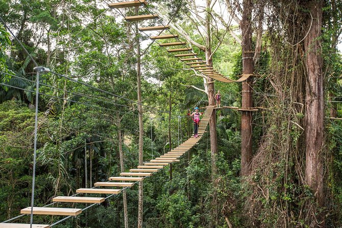 Sunshine Coast Adventure Park TreeTop Challenge - Key things to know before you go