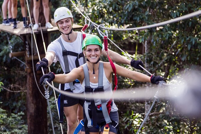 Sunshine Coast Adventure Park TreeTop Challenge - Big Pineapple and the rainforest canopy: the setting that sells the whole experience