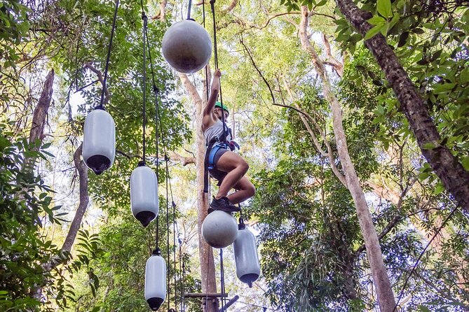 Sunshine Coast Adventure Park TreeTop Challenge - How hard is it, really? It depends on your comfort and how you manage it